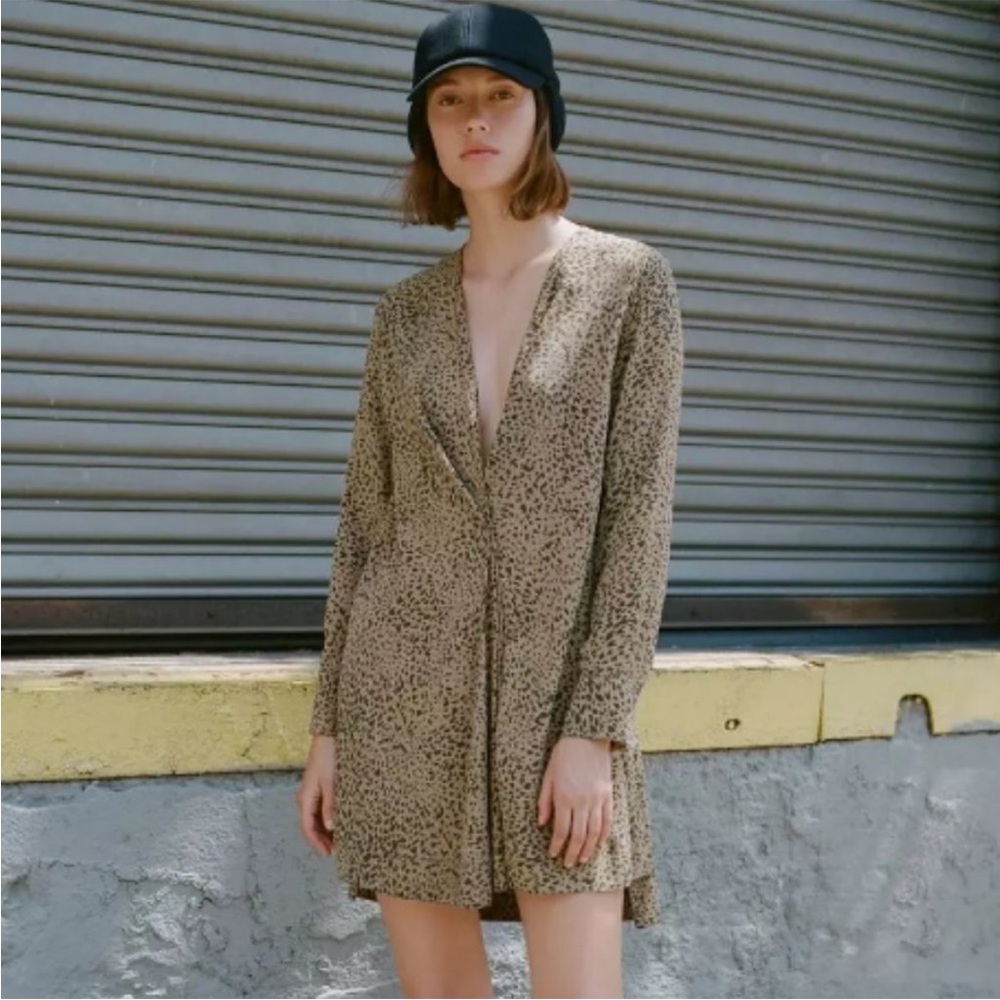 Rag & Bone Silk Leopard Print Dress